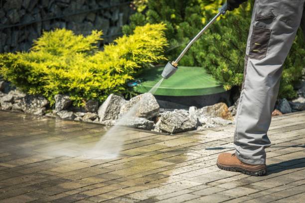 Best Pre-Holiday Cleaning  in Silver Springs, NV